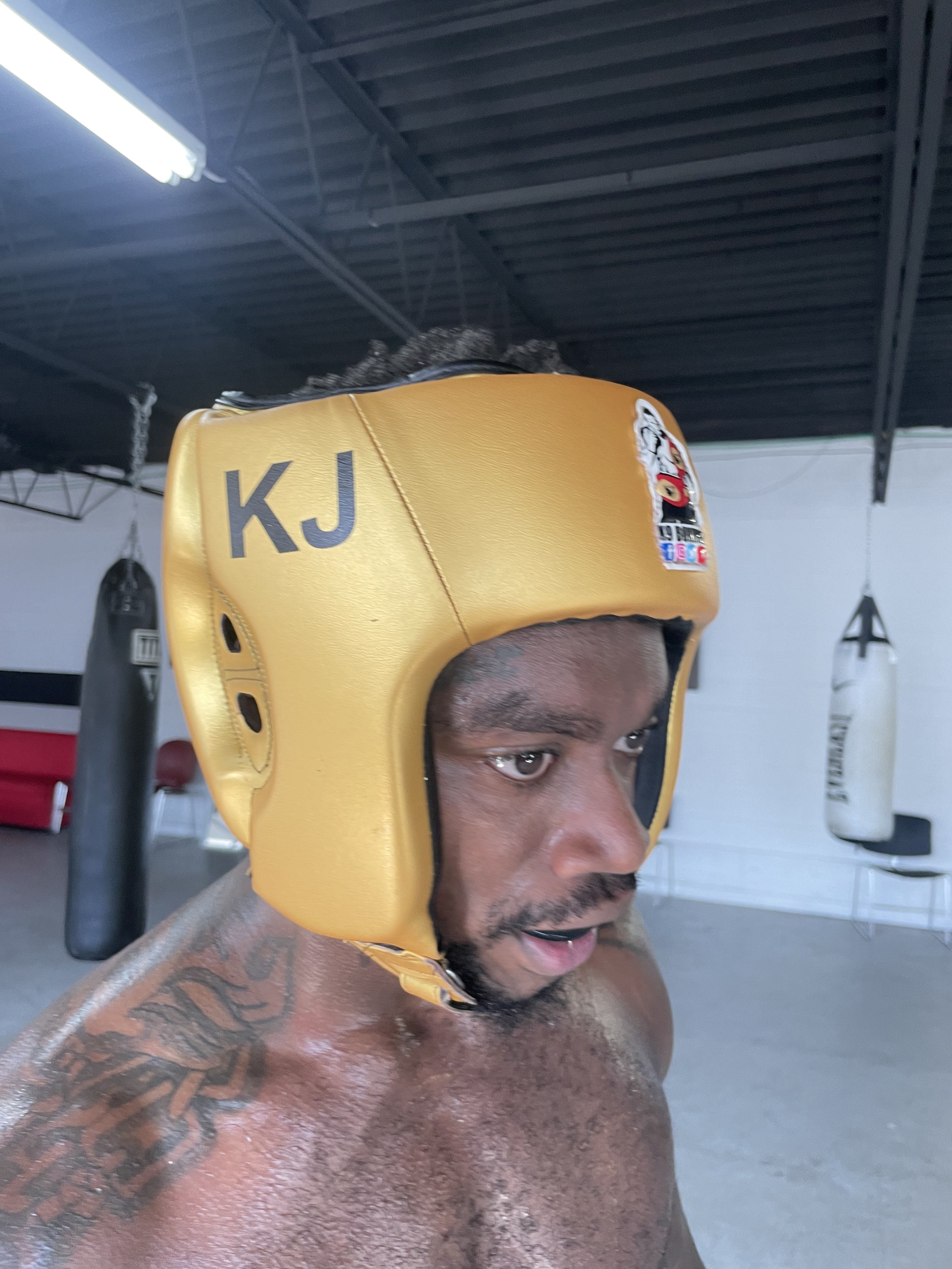 K9 Boxing Headgear